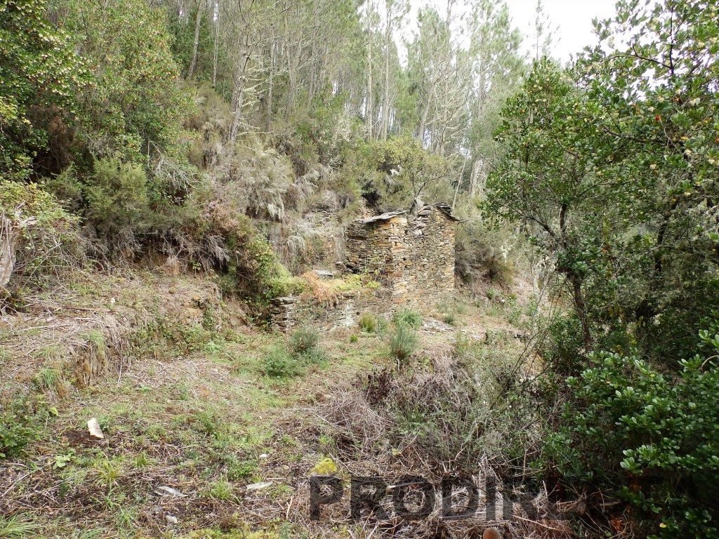 Best Riverside Valley for Sale in Central Portugal ProDirecta