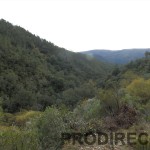 Riverside valley for sale in central Portugal Góis - PD0013