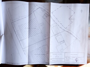 Estate property agents