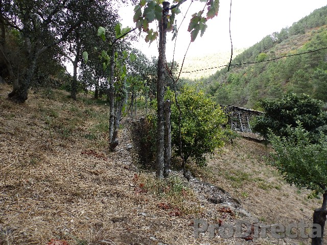 Quinta near Arganil