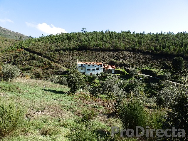 farmhouse with over 5 hectares near the Sta. Luzia dam