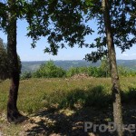 Building plot in the mountain with project approved - PD0171