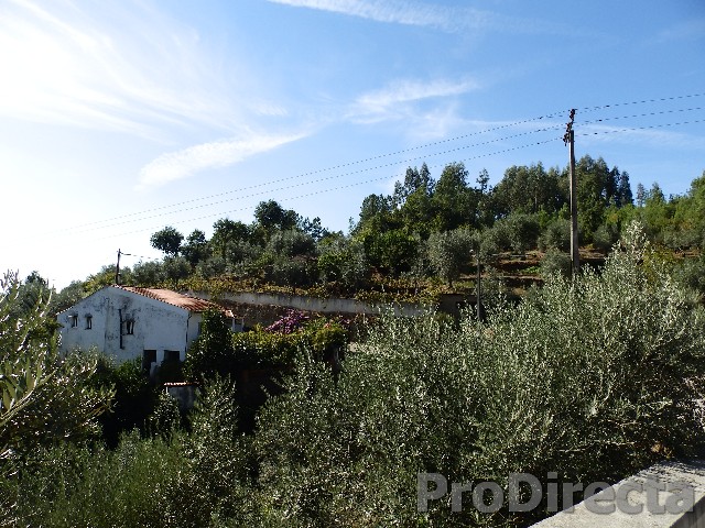 Small set of land with a house and land with barn Coja