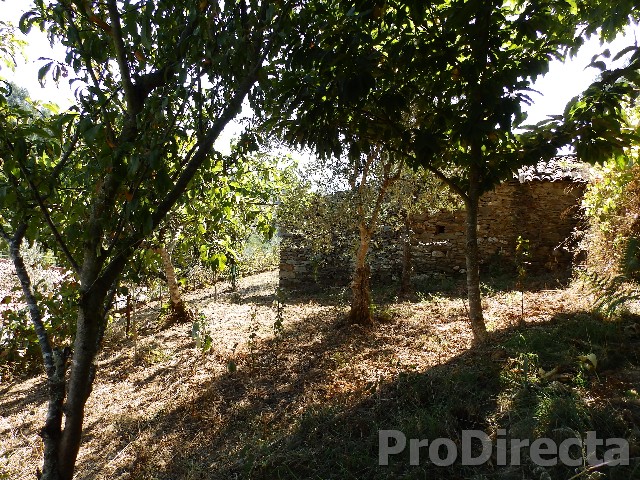Small set of land with a house and land with barn Coja