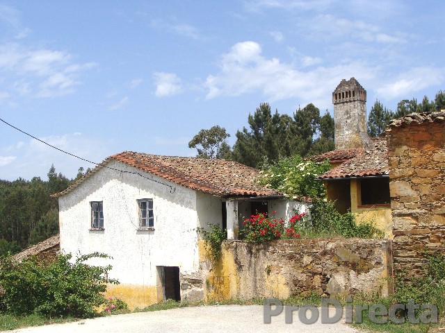 Property for sale in Tábua Portugal