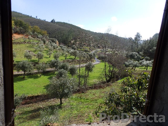 Land for sale central portugal
