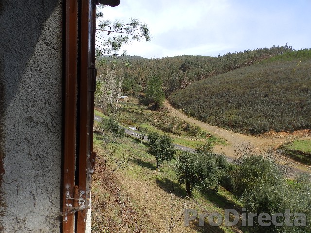 Land for sale central portugal