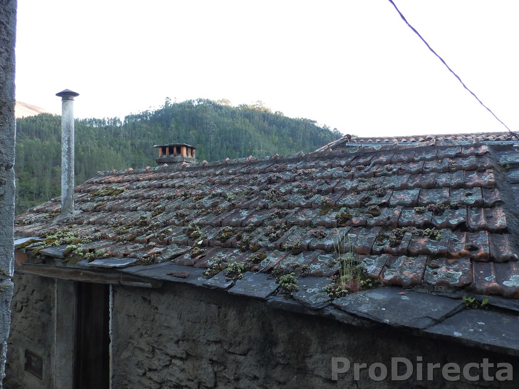 Stone house for sale Gois 