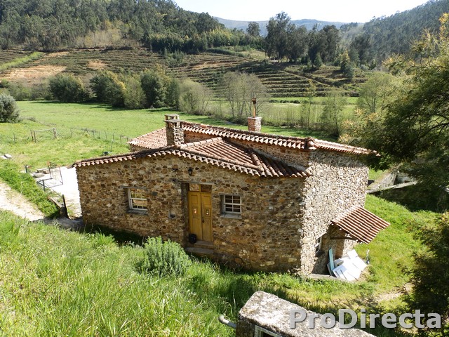 Quinta do Pinheiro Manso - PD0544