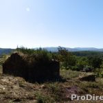 Quinta do Areeiro – PD0483