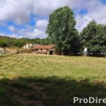Quinta do Lagar – Refúgio com Alma e Ribeira de Águas Cristalinas em Coja - PD0582