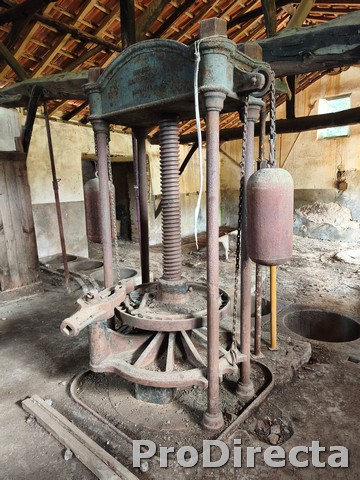 MVIMG_20260625_105352