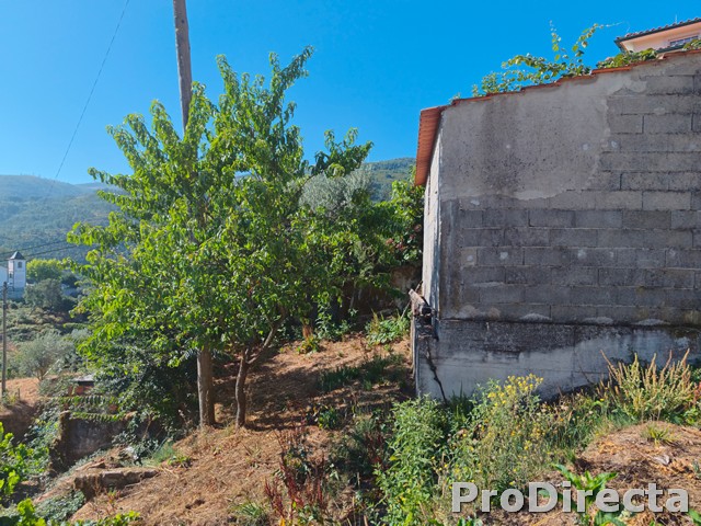 Storage Room / Garage with Land in Colmeal, Gois