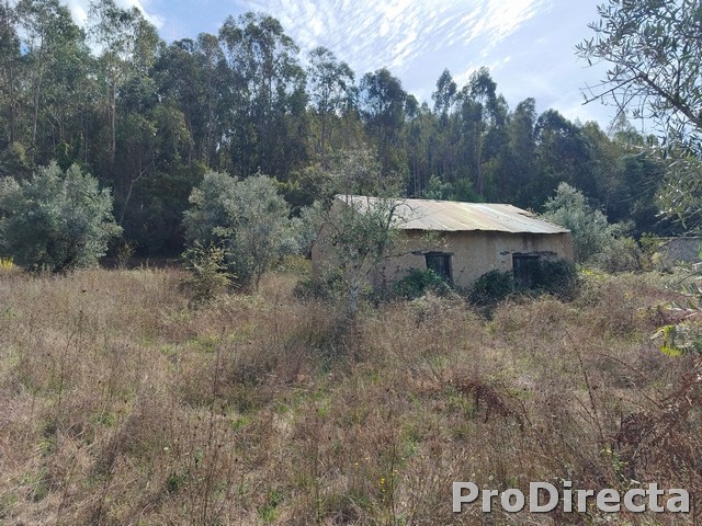 Quinta do Tanque dos Três Bicos – Góis - PD0596